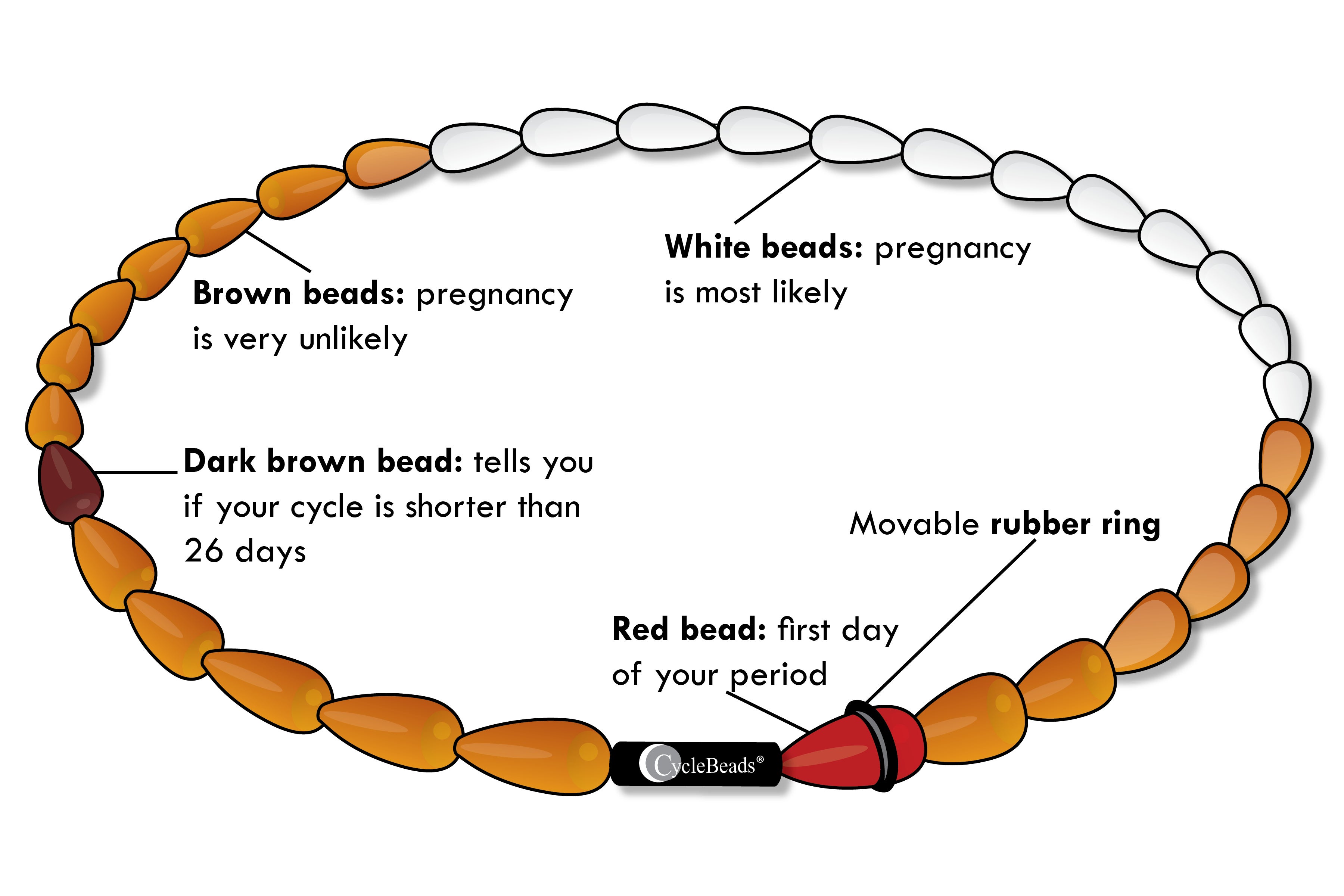 What are CycleBeads?  Natural Family Planning and Birth Control 